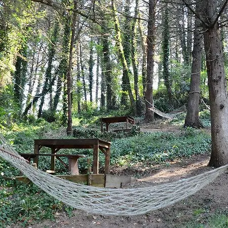 Ekoland Bed & Breakfast