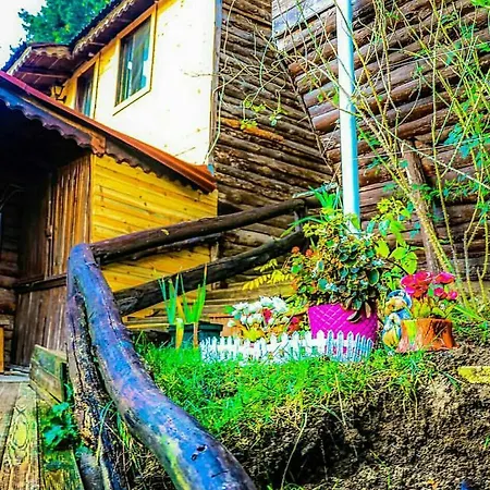 Bed & Breakfast Ekoland