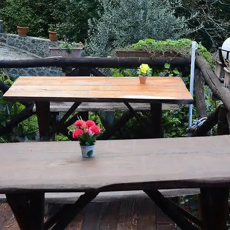 Bed & Breakfast Ekoland