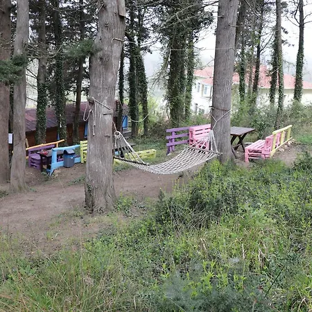 Bed & Breakfast Ekoland *