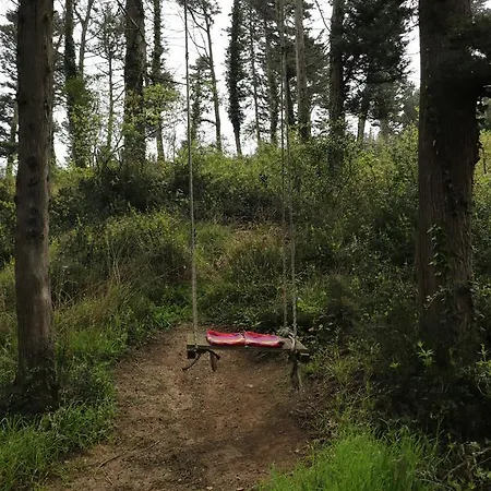 Bed & Breakfast Ekoland *