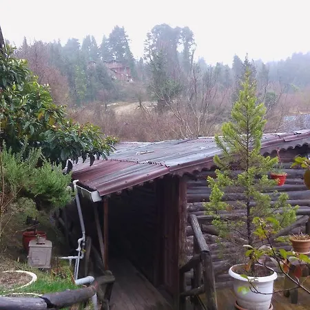 Ekoland Nocleg ze śniadaniem Ağva