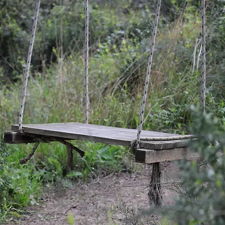 Nocleg ze śniadaniem Ekoland Ağva